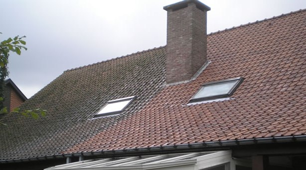 tiled roof de-mossing before and after